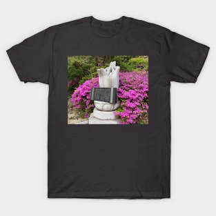 Stone statue T-Shirt